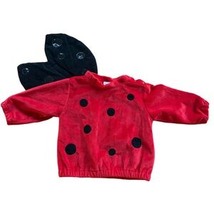 First Moments Lady Bug Costume 12 Months EUC